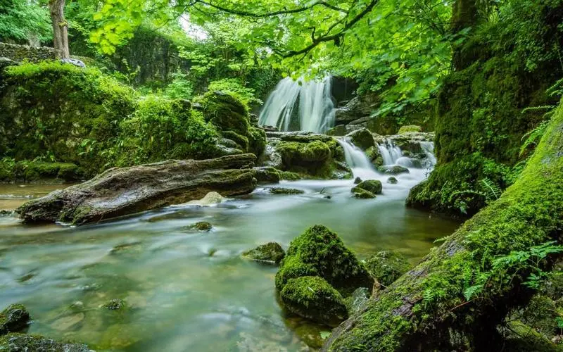 高性能先进智慧